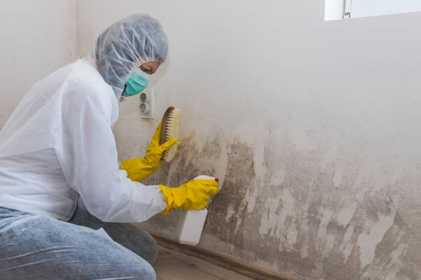 Best Industrial Mold Remediation  in Hawley, PA